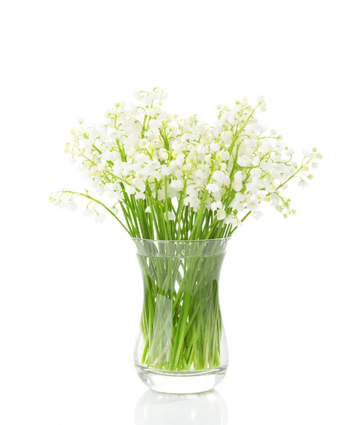 Bouquet of Lilies of the Valley isolated on white background. — Stock Photo, Image
