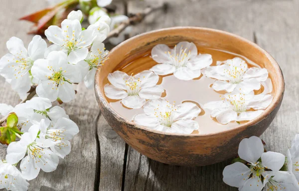 Flores flotantes (flor de cerezo) en tazón de barro . — Foto de Stock