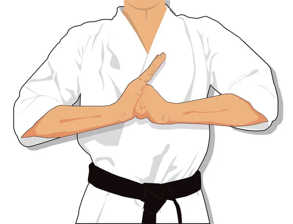 Karate Artes Marciais Vetor Clipart Cartoon — Vetor de Stock