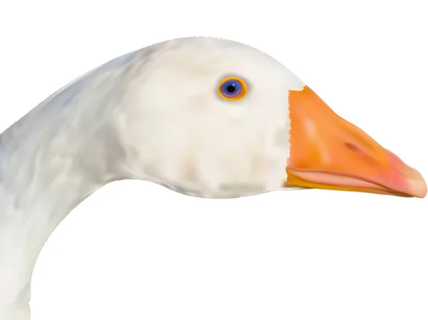Goose _ head in vector — стоковый вектор