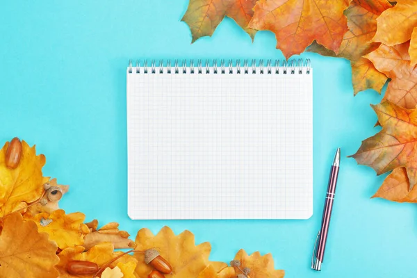 Rahmen aus bunten Herbstblättern mit Notizbuch und Stift auf blauem Hintergrund — Stockfoto