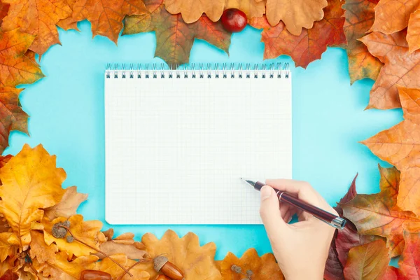 Bunte Herbstblätter mit Notizbuch und Stift in der Hand auf blauem Hintergrund — Stockfoto