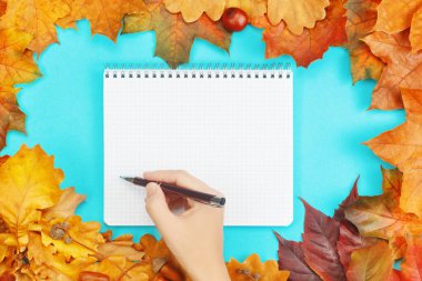 Mavi arka planda not defteri ve kalemle renkli sonbahar yaprakları