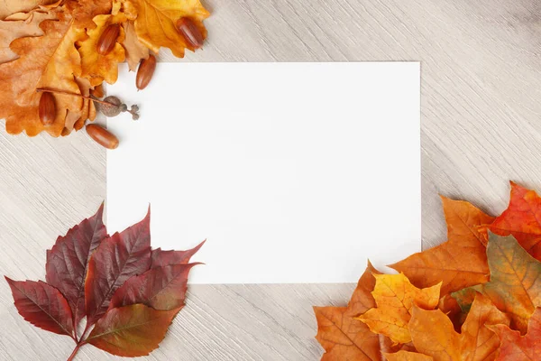 Papel blanco en blanco sobre fondo de textura de madera con hojas de arce y roble, bellotas, hoja de uvas jóvenes — Foto de Stock