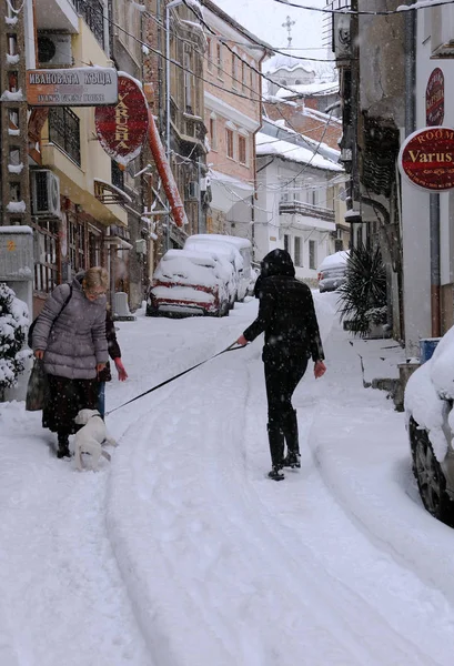 Ausführen des Hundes im Januar — Stockfoto