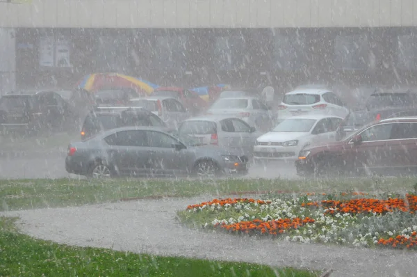 Meldplicht in juni — Stockfoto