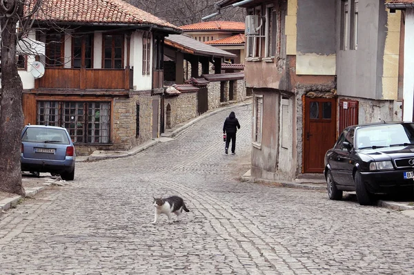 Gatto e uomo in strada — Foto Stock
