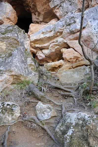 Wortels en rotsen van Stara Planina — Stockfoto