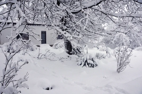 Jardim nevado em fevereiro — Fotografia de Stock