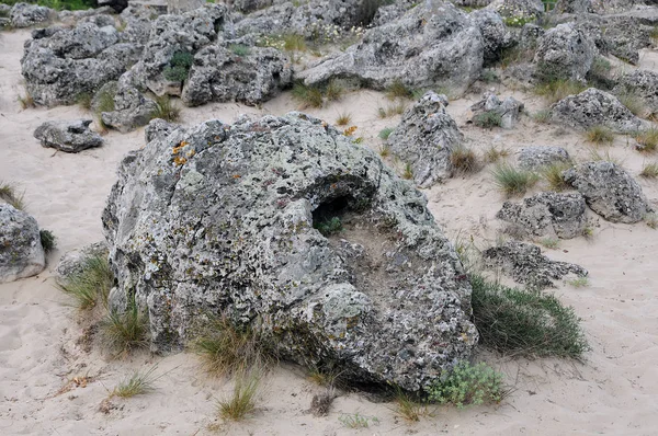 Rocce Vegetazione Della Foresta Pietra Bulgaria — Foto Stock