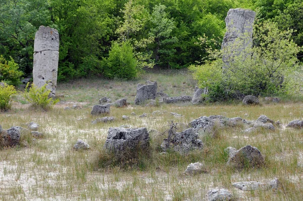 Камни Растительность Каменного Леса Болгарии — стоковое фото