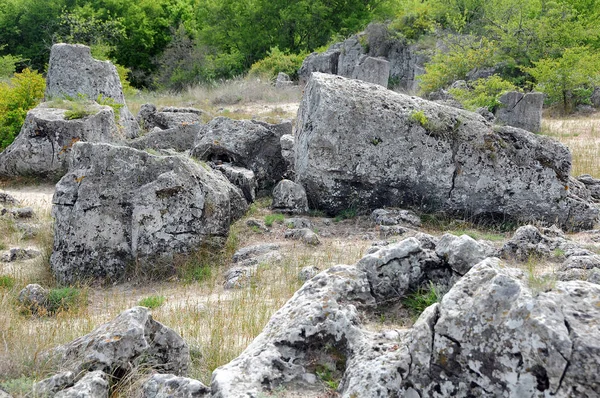 Felsen Und Vegetation Des Steinwaldes Bulgarien — Stockfoto