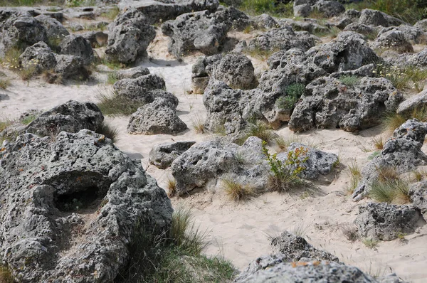 Rocks and stones on the sandy soil in the Stone Forest near Varna in Bulgaria