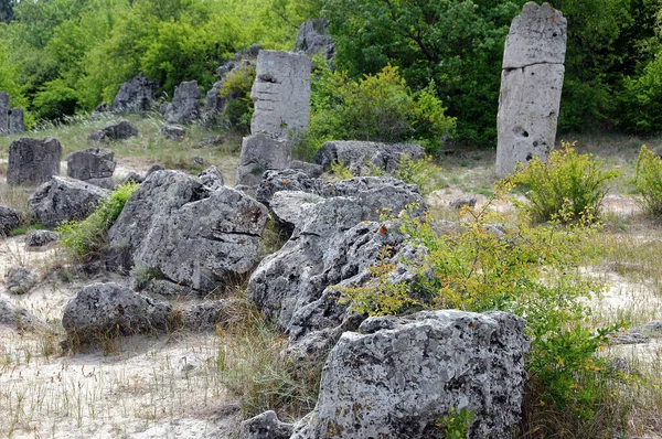 Камни Растительность Каменного Леса Вблизи Варны Болгарии — стоковое фото