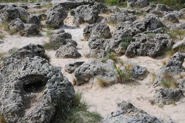 Felsen Und Steine Auf Dem Sandigen Boden Steinwald Bei Varna — Stockfoto