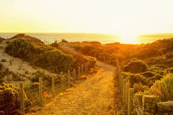 Gyönyörű gyalogút a tengerpartra naplementekor. — Stock Fotó