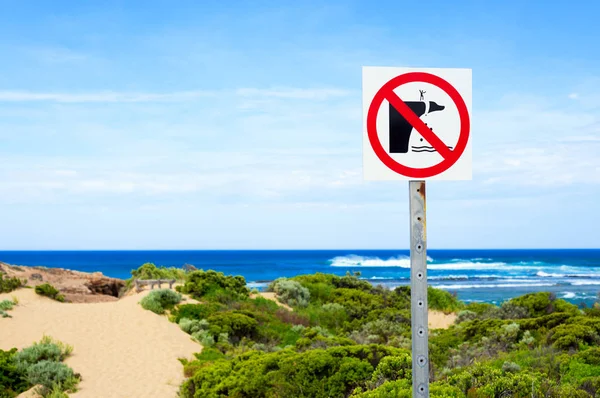 "Stabiele kliffen op het strand — Stockfoto