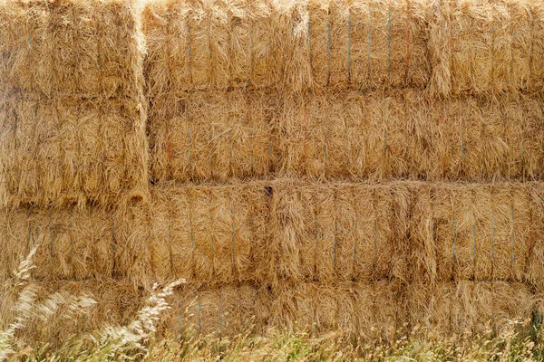 Hooi balen achtergrond — Stockfoto