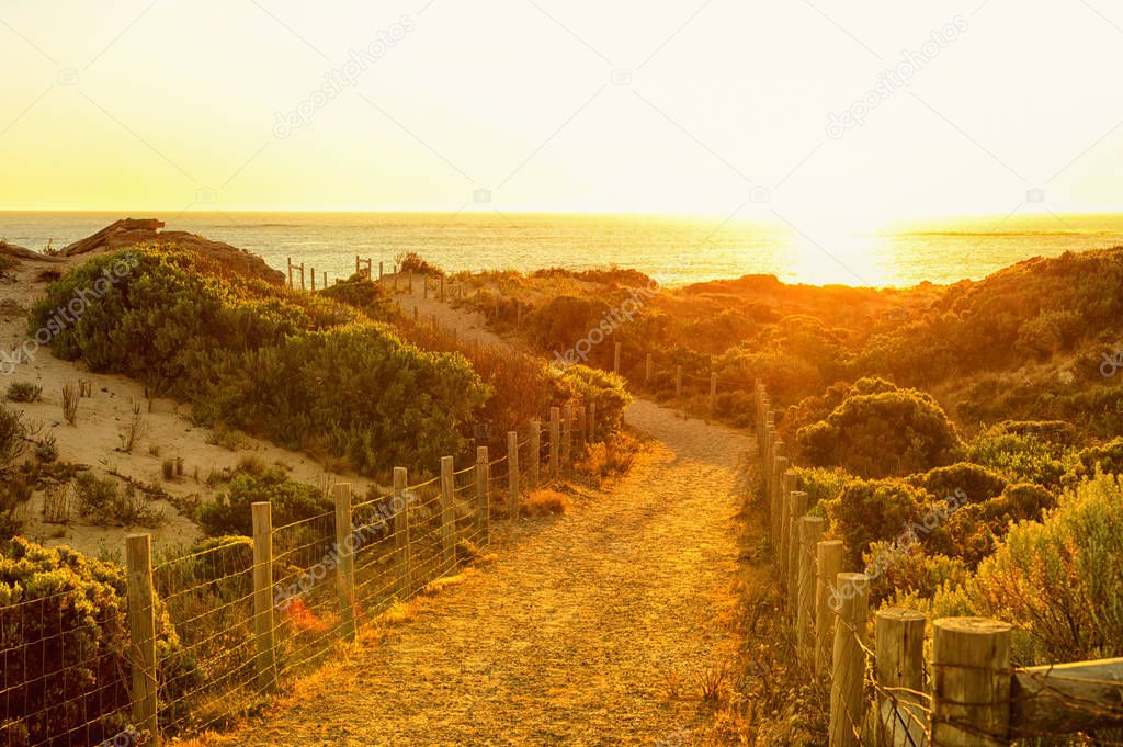 Beautiful footpath to the beach on sunset.
