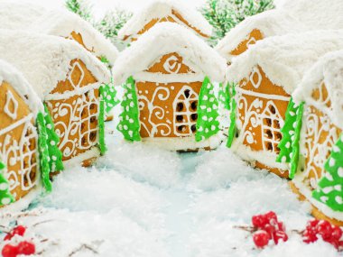 Yılbaşı kurabiye evi