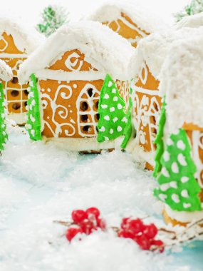 Yılbaşı kurabiye evi