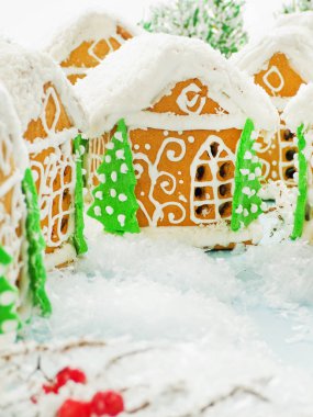 Yılbaşı kurabiye evi