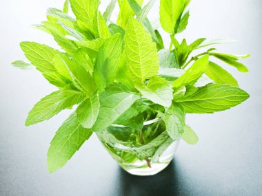 Bardağın içinde nane