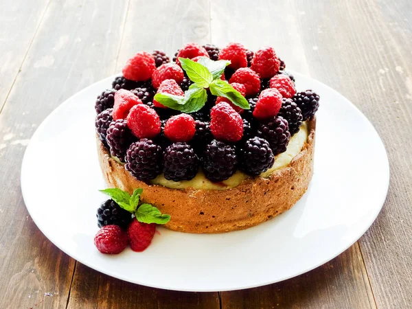 Fresh baked cheesecake — Stock Photo, Image