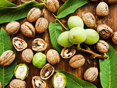 Ceviz ahşap üzerine