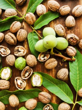 Ceviz ahşap üzerine