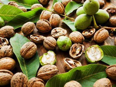 Ceviz ahşap üzerine