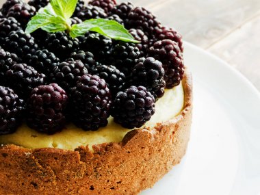 Taze pişmiş peynirli kek