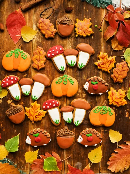 Biscotti di pan di zenzero di autunno — Foto Stock