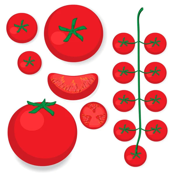 Vastgestelde vector tomaten — Stockvector