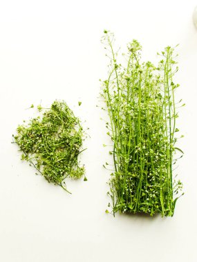 Shepherd 'ın çantasındaki ot beyaz ahşap arka planda. Sığ dof.