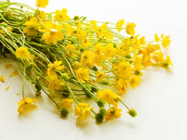 Beyaz arka planda yaprakları olan yabani düğün çiçekleri. Sığ dof.