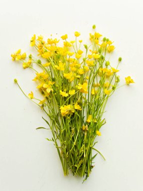 Beyaz arka planda yaprakları olan yabani düğün çiçekleri. Sığ dof.