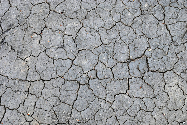 Трещины в текстуре почвы
