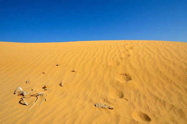 Stopy na písku — Stock fotografie