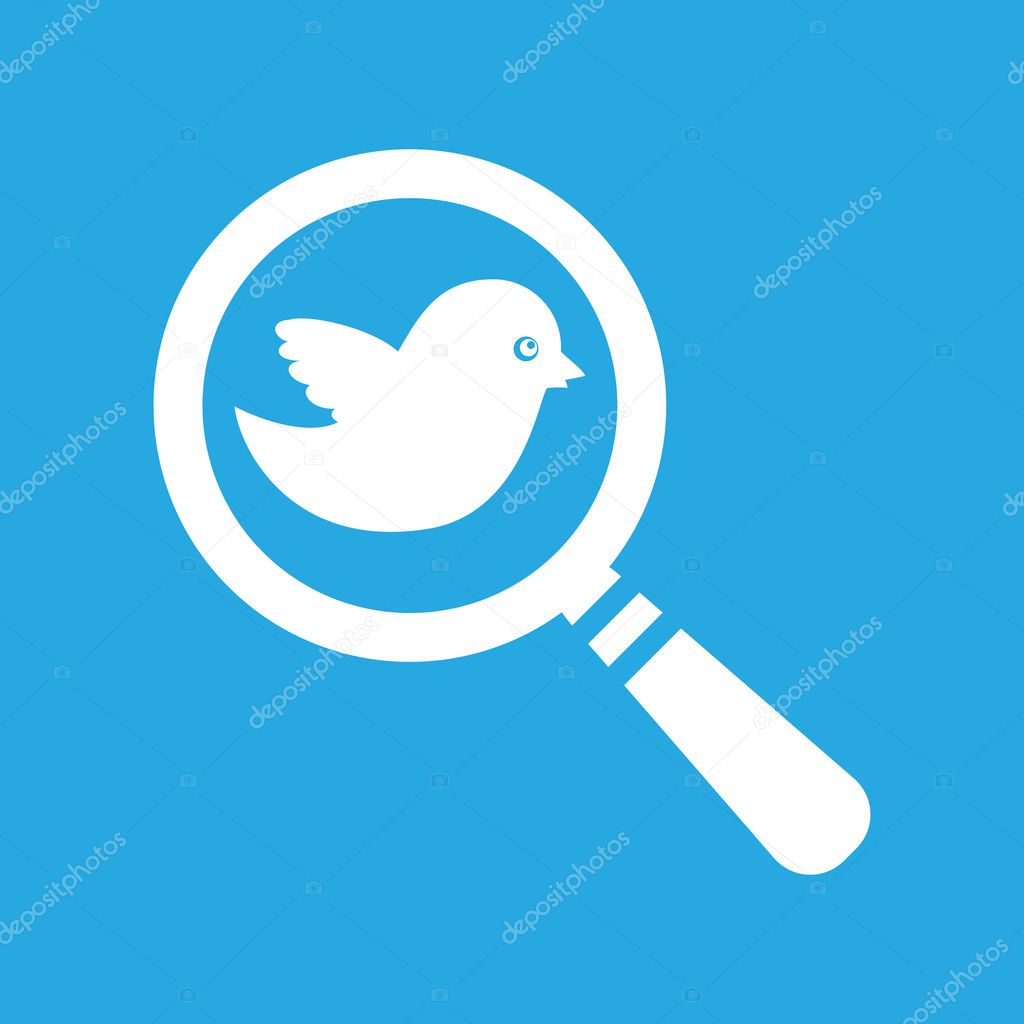 search icon with white bird 