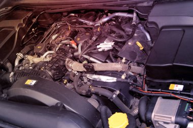 Arabayı başlık alanı altında