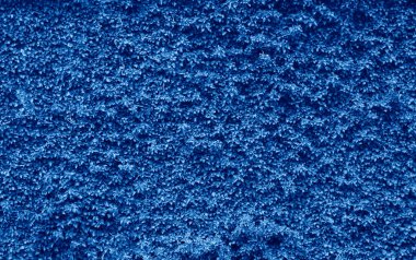 Sarmaşık kıvrımlı bir sarmaşığın altında gizlenmiş eski bir taşla 