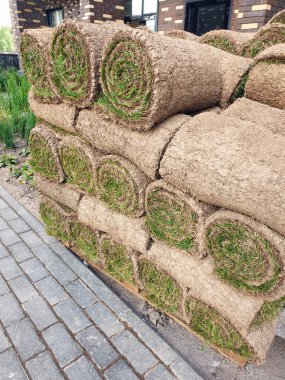 Şehir avlusunda bir paletin üzerine çim ruloları istiflenmiş. Kentsel çevrenin asilleşmesine hazırlık kavramı