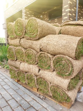 Şehir avlusunda bir paletin üzerine çim ruloları istiflenmiş. Kentsel çevrenin asilleşmesine hazırlık kavramı