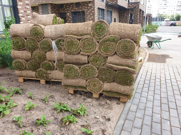 Rolos Gramado Empilhados Uma Palete Pátio Cidade Conceito Preparação Para — Fotografia de Stock