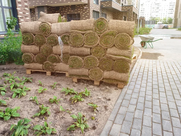 Grasrollen Gestapeld Een Pallet Binnenplaats Het Concept Van Voorbereiding Veredeling — Stockfoto