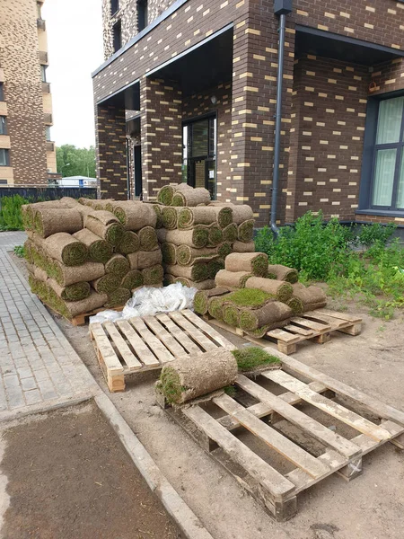 Lawn Rolls Stacked Pallet City Yard Concept Preparation Ennobling Urban — Stock Photo, Image