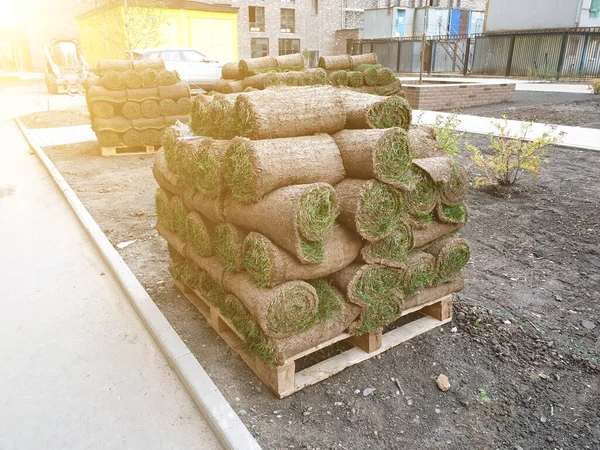 草坪卷堆放在城市院子里的托盘上 准备使城市环境更加舒适的概念 — 图库照片