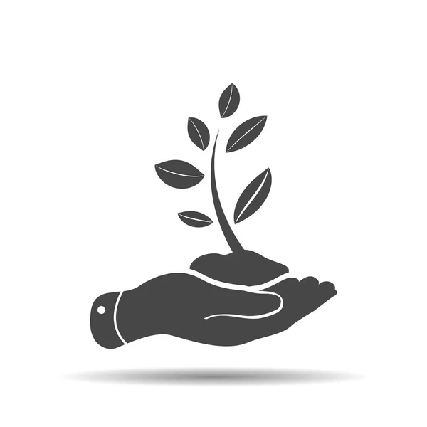 Hand Pictogram Dat Zorgt Voor Plant Ontspruiten Uit Grond Begrip — Stockvector