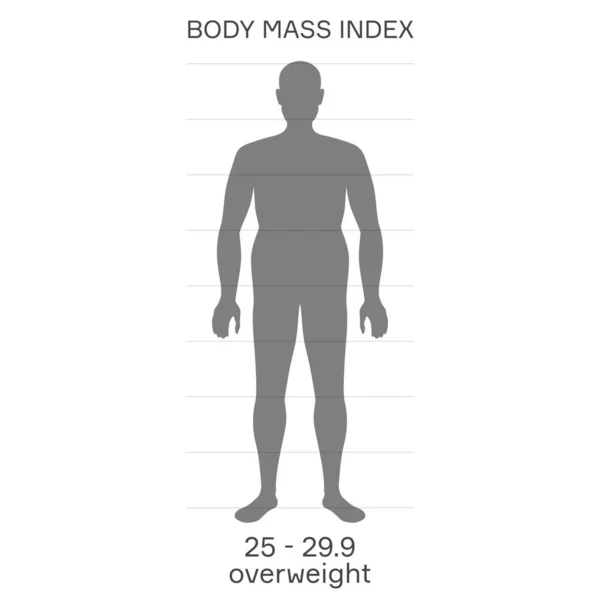 Characterizing Male Silhouette Obese Stage Body Mass Index — Stock Vector